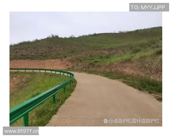 交通护栏在城市交通安全中的关键作用与发展趋势分析